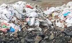 Çevre kirliliği en önemli küresel sorun