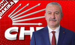 CHP'nin ağır topları Osman Zaimoğlu'nu kınadı