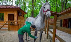 Avrupa’nın en büyük doğal yaşam parkı bayramda doğaseverler için hazırlandı