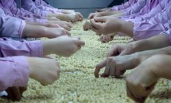 Fındık AB ülkelerine 3 bin 986 ton ihraç edildi
