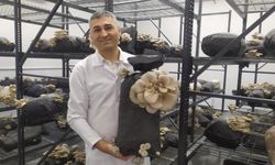 Atıklar gübre oldu, ürün yetiştirildi