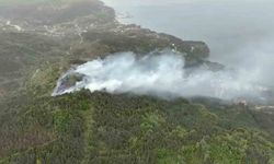Orman yangını: Ekiplerin müdahalesi sürüyor