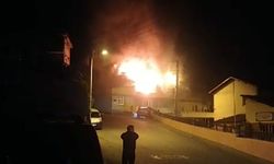 Zonguldak'ta yangın: Alev alev yandı