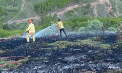 Örtü yangınında 30 hektarlık alan zarar gördü