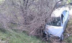 Otomobil, ağaca çarptı: 1 ölü, 1 yaralı