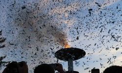 Altın Safran Festivali’nin meşalesi çeyrek asır için yandı