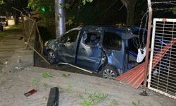 Hafif ticari araç ağaca çarptı: 1 yaralı