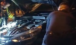 Otomobile giren yılan böyle çıktı
