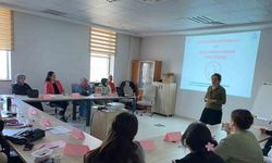 Sağlıkçılara anne sütü ve emzirme danışmanlığı eğitimi