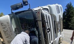 Tomruk yüklü tır devrildi: 1 yaralı