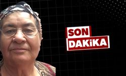 Belediyeden emekli Nebahat Akdemir hayatını kaybetti