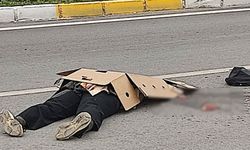 Mine Çetinoğlu'na çarparak ölümüne neden olan kamyonun şoförü tutuklandı