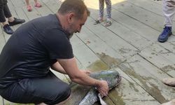 Haberlere konu oldu, cezai işlem uygulandı