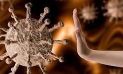 Prof. Dr. Tevfik Özlü’den 'A (H5N2) virüsü' açıklaması