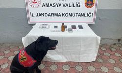 Uyuşturucu operasyonu: 1 tutuklama