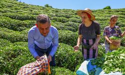 Özgür Özel: Çay üreticisinin derdini çözeceğiz