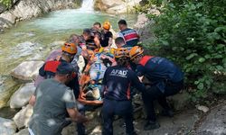 Aracıyla dereye düşen sürücü yaralandı