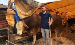 Kurbanlıkların yarısı satıldı
