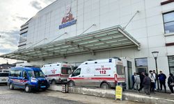 Kurban Bayramında 167 acemi kasap yaralandı