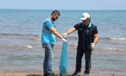 Çevre Haftası dolu dolu kutlanacak