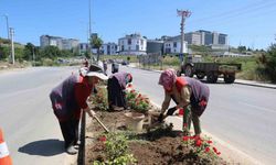 Çiçeklendirme çalışmalarına başladı