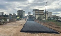 Millet bahçesinde sona doğru