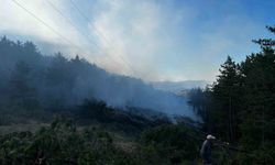 Orman yangını: 2 hektarlık alan zarar gördü