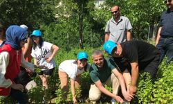 Özel çocuklar sebze ve aromatik bitki yetiştiriyor