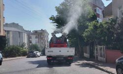 Vektörle mücadele sürüyor