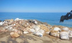 Kurban atıklarını sahile attılar: Cezai işlem uygulanacak