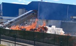 Fabrikada yangın: Çok sayıda ekip müdahale etti
