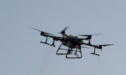 Sinek ve lavralara karşı drone ile ilaçlama