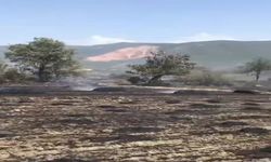 Anız yangınında 100 dönüm tarım arazisi zarar gördü