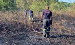 Ağaçlık alan yandı: 10 hektar küle döndü