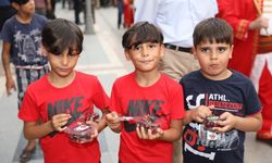 Festival coşkusu: 1 ton kiraz dağıtılacak
