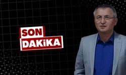 Yolda aracını kontrol etmek isterken minibüsün çarptığı vatandaş öldü
