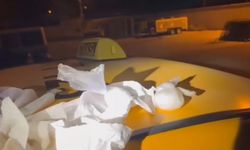 Narkotik köpeği hassas burnu ile uyuşturucu buldu