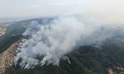 Orman yangını sürüyor: Havadan görüntülendi