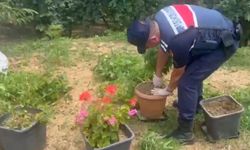 Uyuşturucu operasyonları: 21 gözaltı