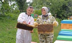 Yığılca arısına dünya arıcılarından yoğun talep
