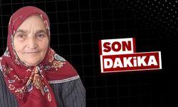 Otomobilin çarptığı Naciye Dereli, hayatını kaybetti