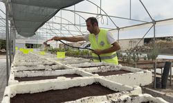 Belediyeden tasarruf projesi