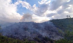 Orman yangını kontrol altına alındı