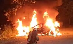 Park halindeki otomobil alev topuna döndü