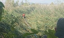 Kısaltmak için girdikleri yol kabusları oluyordu