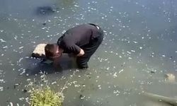 Atıklarını dereye boşaltan patates firmasına ceza