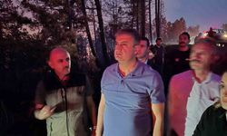 Vali Mustafa Yavuz: "Yangınları kısmen kontrol altına aldık"