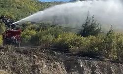 Orman yangınında, 8 hektarlık alan yandı