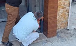 Boşluğa düşen yavru kediyi böyle kurtardılar