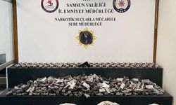 92 bin 400 sentetik ecza ele geçirildi; 2 gözaltı